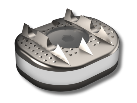 D-Flex Titanium Cervical Disc Prosthesis