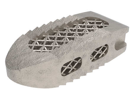 Tra-Ti Trabecular Plif Cage