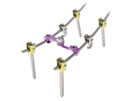 Pedifix Posterior Thoracolumbar Fixation System