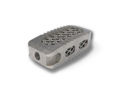 Tra-Ti Trabecular Plif Cage